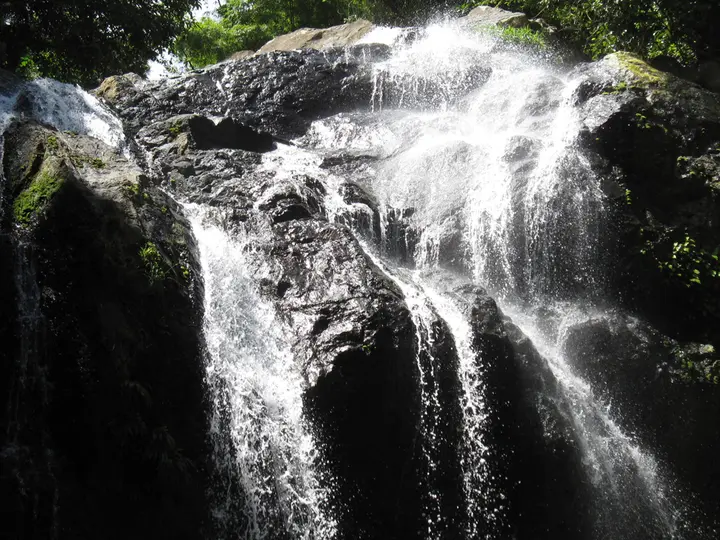 Argyle Waterfall in Tobago's rainforest