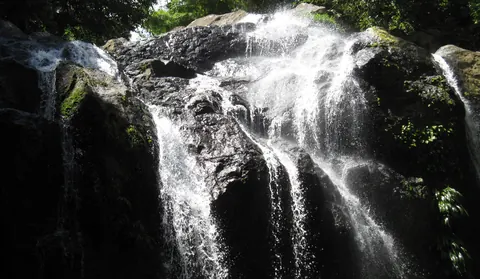 Argyle Waterfall cascading over rocks in the rainforest
