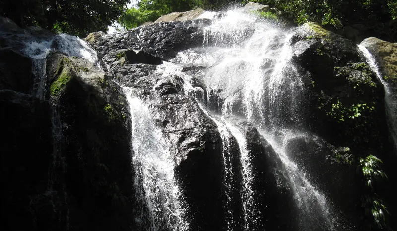 Argyle Waterfall cascading over rocks in the rainforest