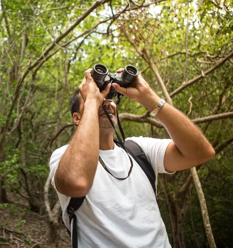 A birdwatcher looking through binoculars in the forest