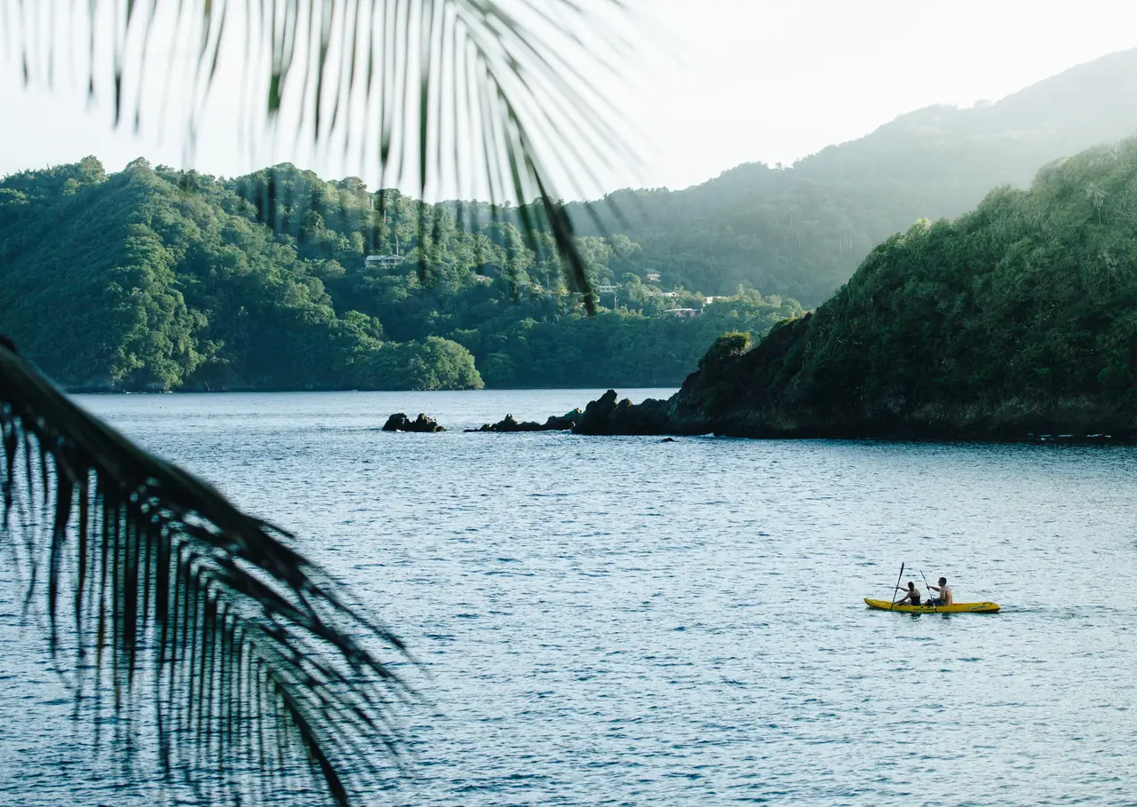Kayakers paddling across a calm bay below forested hills