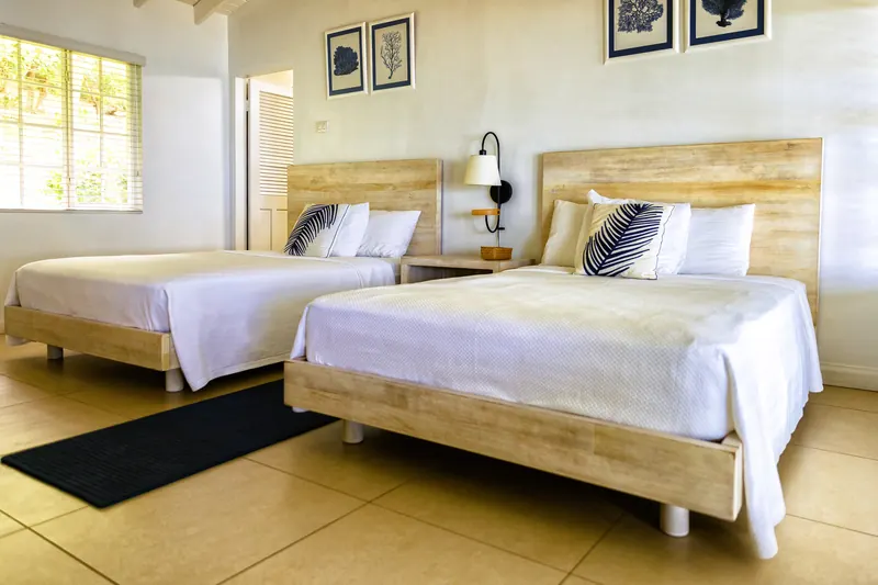 Executive Room with two beds and framed coral prints