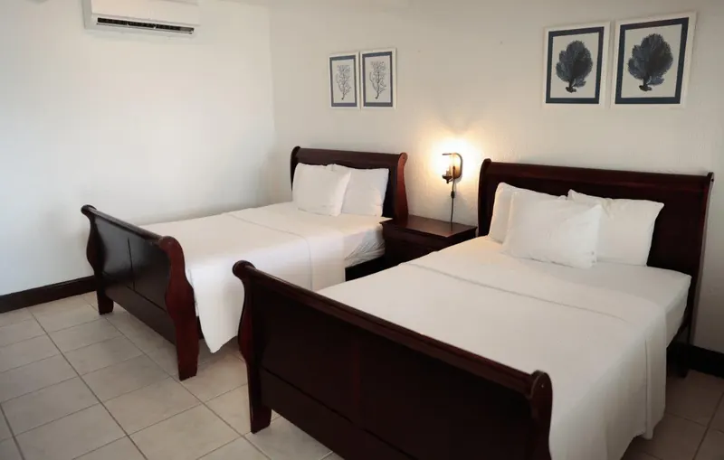 Superior Room with two beds and framed coral prints